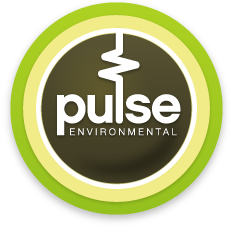 Pulse Environmental